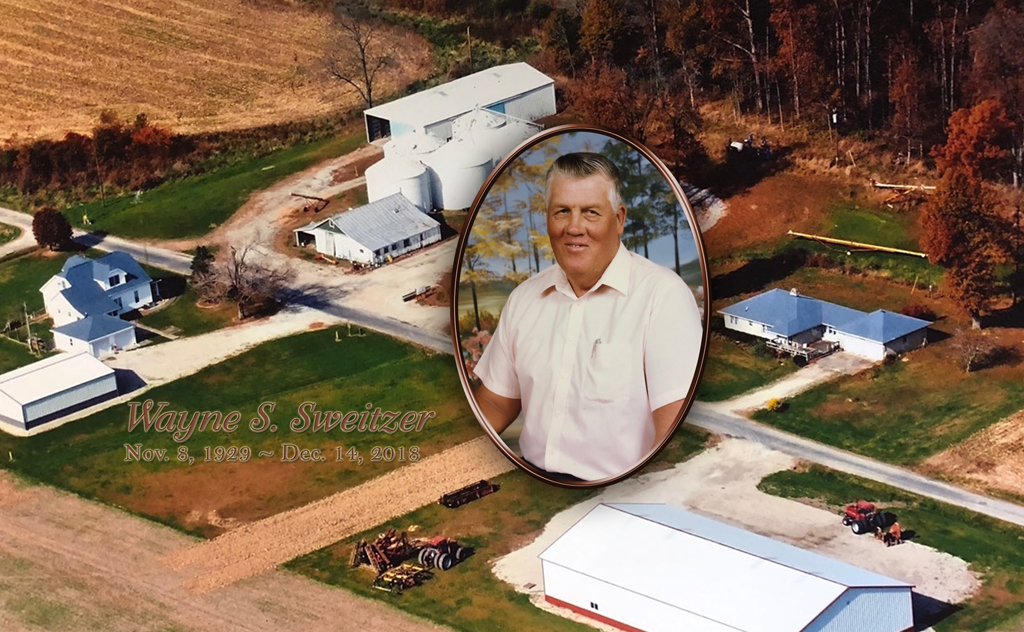 Rosetan Faux (aerial farm) PROOF1